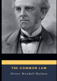 The Common Law: Wendell Holmes, Oliver: 9798689918372: Amazon.com: Books