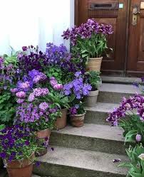 We did not find results for: 1 327 Curtidas 15 Comentarios Nidia Perez Nidiaperez52 No Instagram Morning By Pintere Garden Containers Container Gardening Container Garden Design