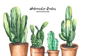 It seems these little prickly plants are popping up everywhere, and not just as actual potted plants. Watercolor Cactus Images Free Vectors Stock Photos Psd