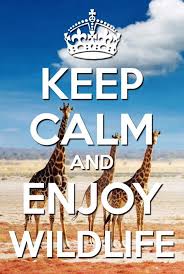 Keep Calm And Enjoy Wildlife Keep Calm Quotes Keep Calm Keep Calm Signs