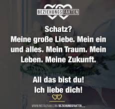 Du Bist Bezaubernd Meine Zukunft Und Meine Grosse Liebe Daizo Beziehung Fakten Beziehungsfakten Liebe Spruch