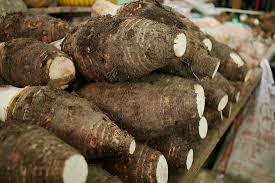 Colocasia esculenta is a tropical plant grown primarily for its edible corms, a root vegetable most commonly known as taro (/ˈtɑːroʊ, ˈtæroʊ/), kalo, dasheen or godere. Top Taro Producing Countries In The World Worldatlas