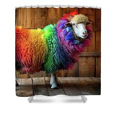 Colorful Rainbow Sheep Shower Curtain