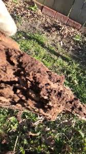 It's our goal to provide. All In One Pest Home And Lawn Llc Home Facebook