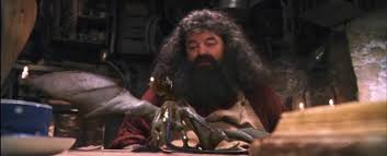 Harry potter and the chamber of secrets Harry Potter Facts On Twitter 24 April 1992 A Norwegian Ridgeback Dragon Named Norbert Later Known As Norberta Hatches In Hagrid S Cabin