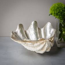We did not find results for: 24cm Resin Stone Giant Clam Shell Giant Clam Giant Clam Shell Coral Accessories