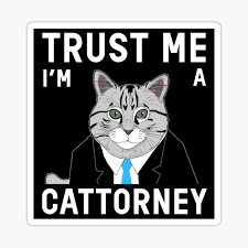 Now, cat lawyer memes are flooding. Funny Cat Lawyer Meme Gifts Merchandise Redbubble