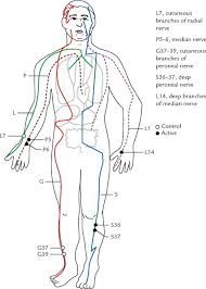 diagram of meridians and acupuncture points or acupoints