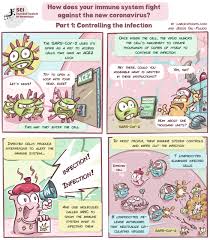 Nearly all comics use a form of stereotypes in order to make easy identification for the reader, just think about the dumb blond chick, the hairy viking etc. How Does Your Immune System Fight Against Coronavirus A Comic British Society For Immunology