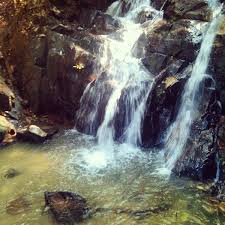Air Terjun Hutan Lipur Gunung Pulai 2 4 Tavsiye Da Fotograflar