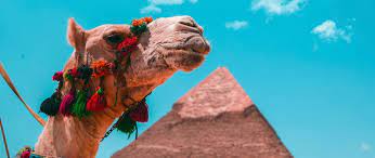 Everybody needs a certain amount of relaxation. Tie Your Camel But Trust In God