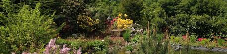 Sie sind garten und suchen eine stelle? Stellenangebote Garten Bosman
