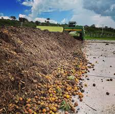 Biobuu - Posts | Facebook