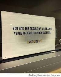Pin On Quotes