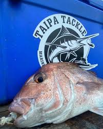 Taipa Tackle