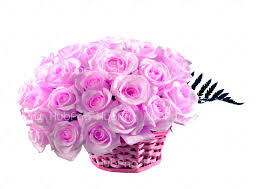 129,000+ vectors, stock photos & psd files. Download Pink Rose Flower Rose Hd Wallpaper 50 Pink Roses Png Basket Transparent Background Image For Free Download Hubpng Free Png Photos
