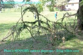A seed drifted down from the tree to rest where his bones had joined the earth. How To Grow A Living Playscape Willow Playhouse Cave For Kids Adventures Of Kids Creative Chaos