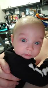 What color is my 5-month-old bully breed dog?