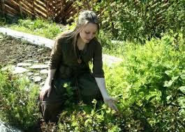 In A Viking Herb Garden Character Inspiration Viking Age Viking Life
