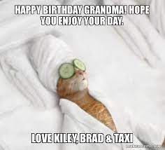 Happy Birthday Grandma Hope You Enjoy Your Day Love Kiley Brad Taxi Pampered Cat Meme Make A Meme
