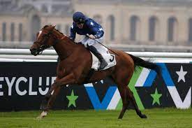He was french flat racing champion jockey in 2015, 2016 and 2020. Fy24nhtvbyy 6m