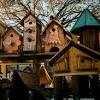 Make a modification to the birdhouse instructions to make it easy to. 1