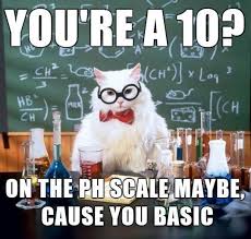 The Absolute Best Of Chemistry Cat In 2020 Nerd Humor Chemistry Jokes Nerdy Jokes