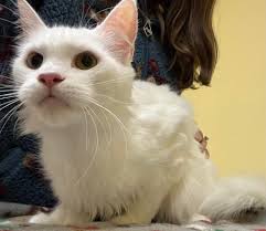 Nobody loves me, because i am black 🥺