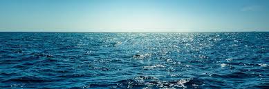 Image result for sea