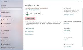 However, you can opt to install windows 10 20h2 update manually. How To Get Windows 10 May 2019 Update On Your Pc As Soon As Possible Windows Central