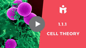 Check spelling or type a new query. 1 1 1 Cell Theory And The Exceptions Ib Biology Youtube