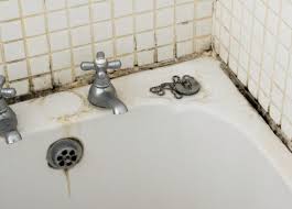 Deze ruimte biedt dan ook een ideale, broeierige leefplek. Tips Om Schimmel In Huis Te Voorkomen Ongedierte Zelf Bestrijden