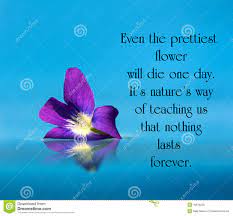Inspirational Quote Stock Photo Image Of Famous Mind 43678236