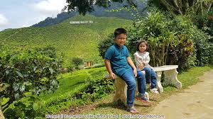 We did not find results for: Waterfall Cameron Valley Bharat Tea Cameron Highlands Pahang