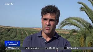 A Tunisian Genius Produces The World S Top Olive Oil Youtube