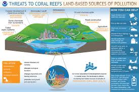 How Does Pollution Threaten Coral Reefs