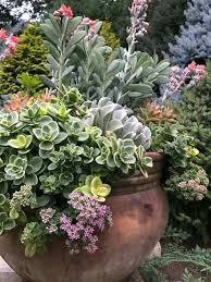 Pin By Daleen De Villiers On Tuine Container Plants Plants Container Gardening