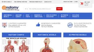 Visit Smhttp Aww 17174 Nexcesscdn Net Anatomical Models