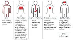 Breathe Easier With This Great Asthma Advice Asthma Care Allergies Food Intolerance Symptoms Asthma Treatment