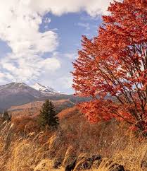 のりくら観光協会公式サイト