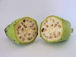 Why Are Bananas Seedless Quora