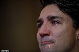 Image result for justin trudeau cry for trans