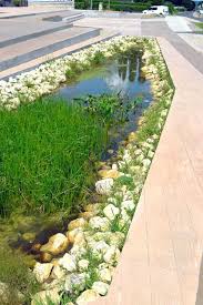 Water Purifying Riverside Square La Mailleraye Sur Seine 07 Landscape Architecture Works Landscape Architecture Landscape Projects Easy Landscaping