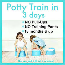 Potty Training In 3 Days 18 Months Up Advice Tips