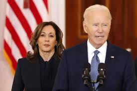 Image result for Bidens ugandensis