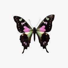 Faites votre choix parmi les nombreuses scènes similaires. Butterfly Pink Black Green Butterfly Drawing Beautiful Butterflies Shadow Tattoo