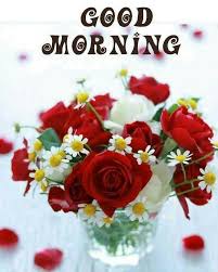 Good Morning Images For Whatsapp Free Download Hd Wallpaper Pictures Photos Of Good Morni In 2020 Good Morning Flowers Good Morning Happy Sunday Good Morning Images