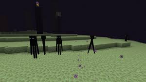 Discover more posts about minecraft enderman. The End Interview Minecraft