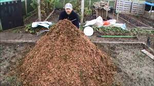 We did not find results for: Horse Manure Preparation Youtube