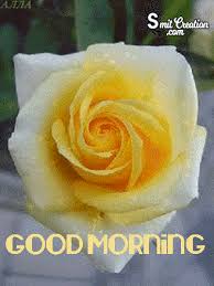 Here you will find animated images of hearts and flowers, as well as many beautiful animated cups of coffee and tea with inscriptions. Good Morning Gif Image Images Pictures And Graphics Smitcreation Com